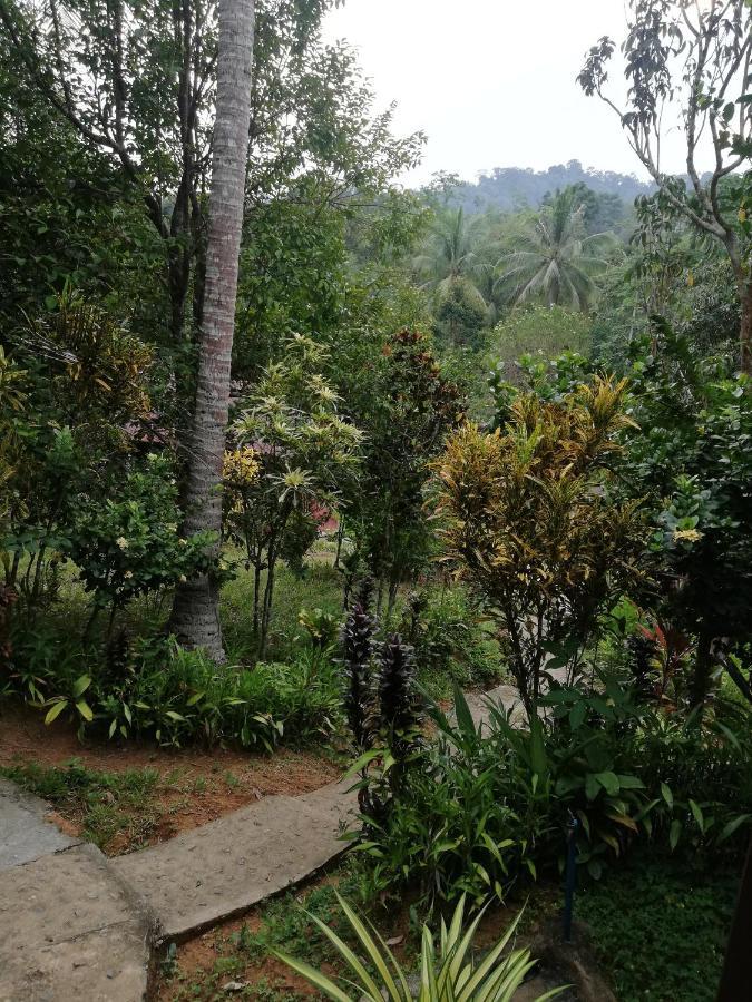 Durian Chalet Куала-Таган Екстер'єр фото
