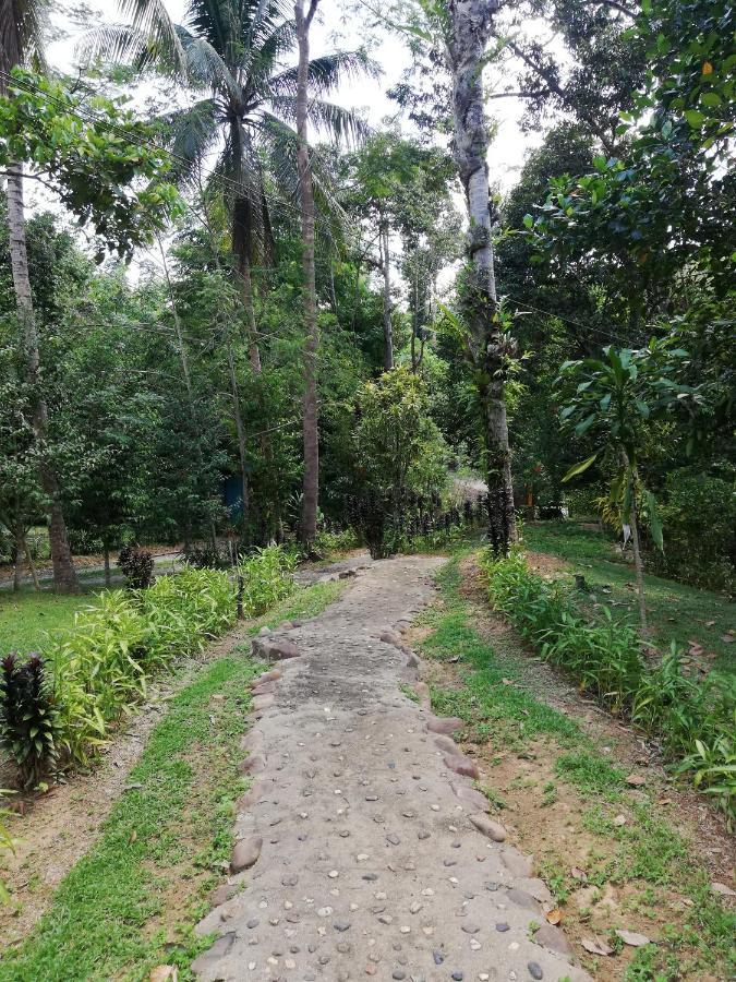 Durian Chalet Куала-Таган Екстер'єр фото