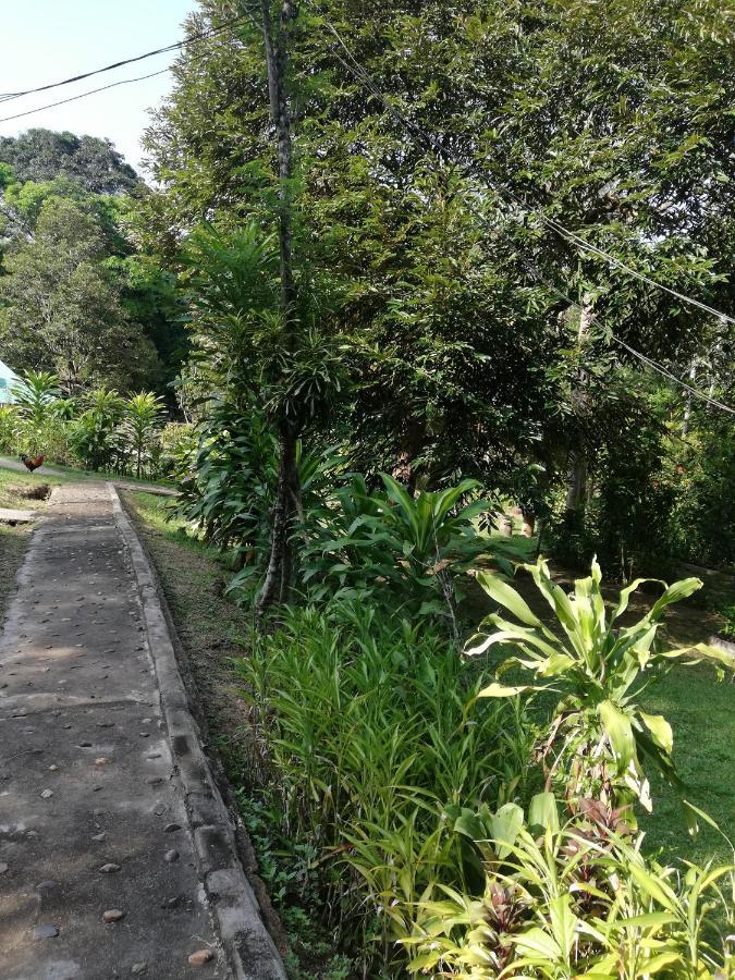 Durian Chalet Куала-Таган Екстер'єр фото