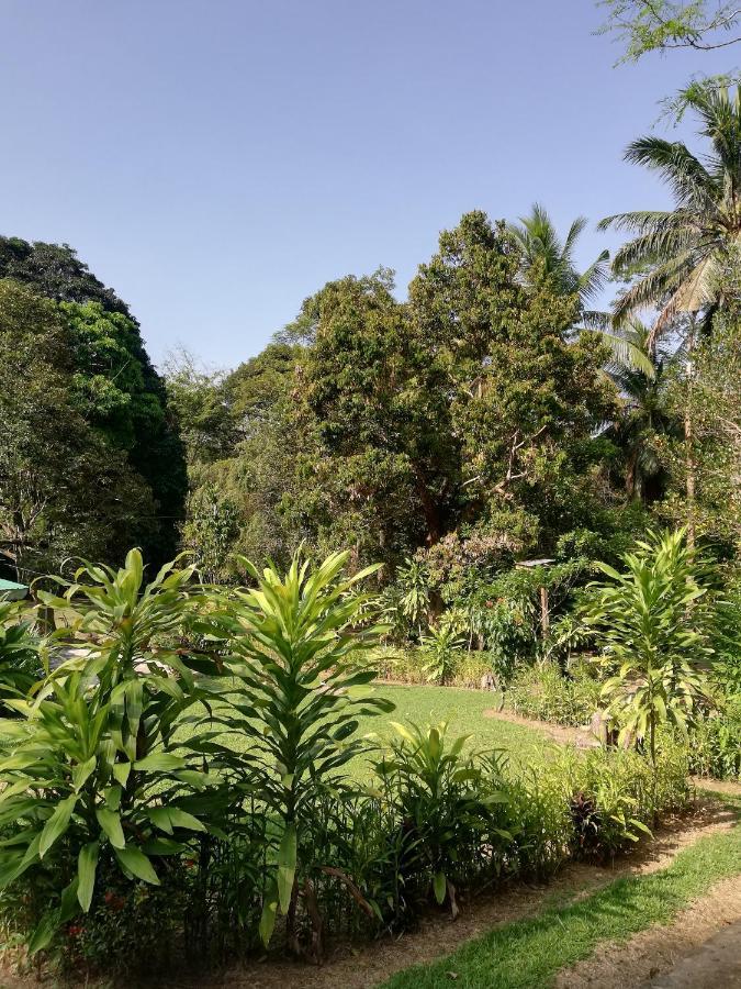 Durian Chalet Куала-Таган Екстер'єр фото