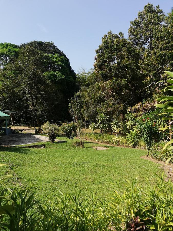 Durian Chalet Куала-Таган Екстер'єр фото