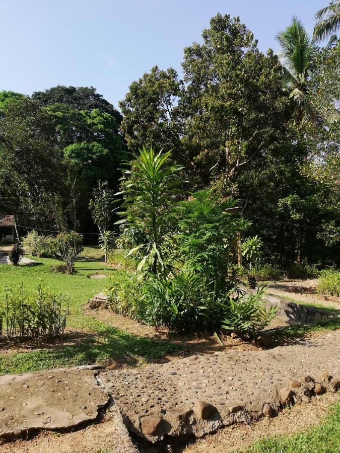 Durian Chalet Куала-Таган Екстер'єр фото