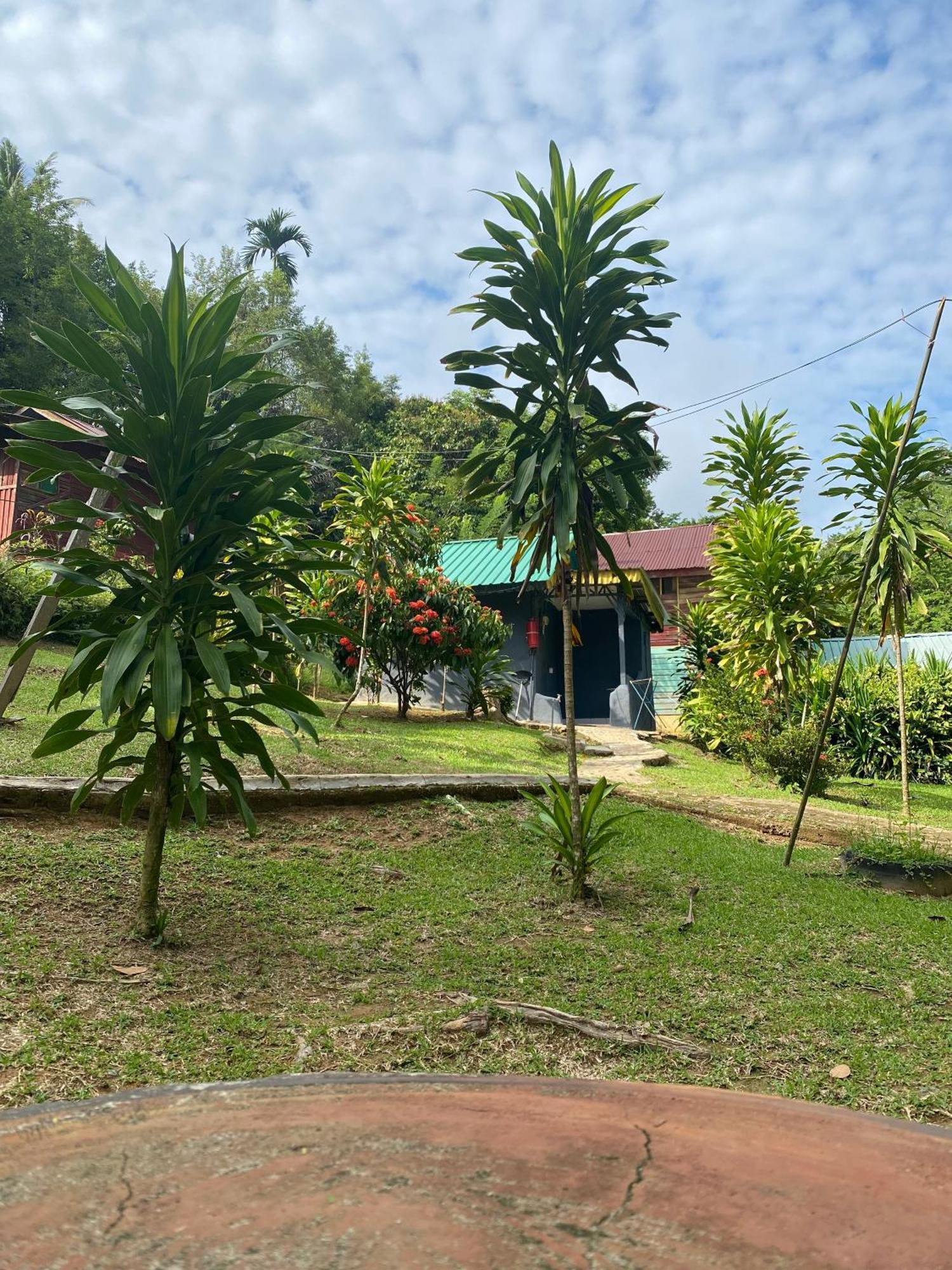Durian Chalet Куала-Таган Екстер'єр фото